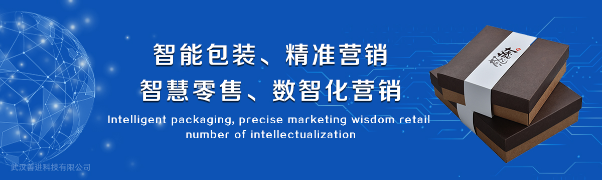 数字营销 - 武汉善进科技有限公司