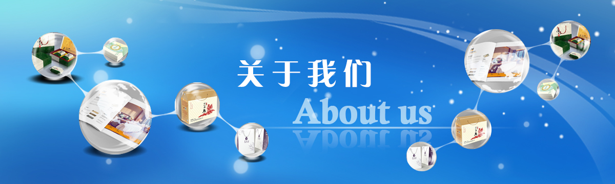 关于善进 - 树立品牌形象，规范行业标准，引领行业发展 - 武汉善进科技有限公司
